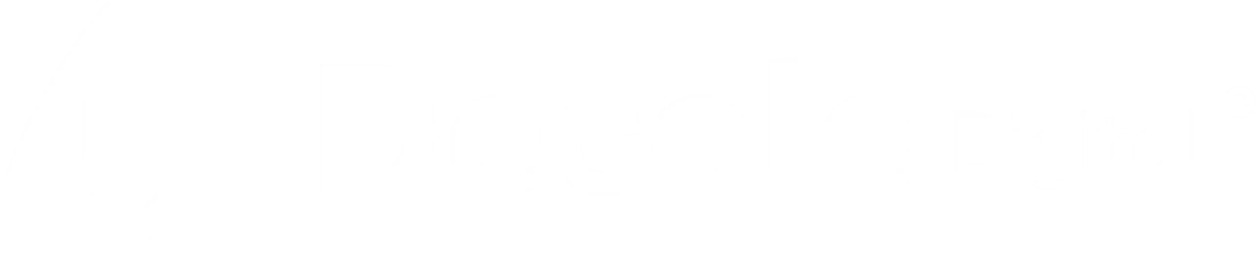 Decole Digital